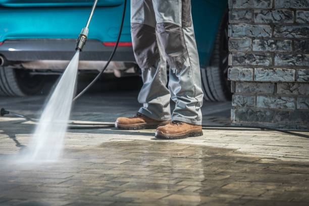 Best Patio and Deck Pressure Washing  in Hamburg, IA