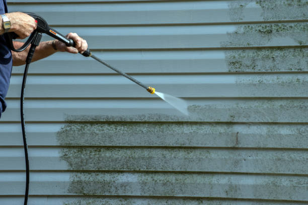 Animal Enclosure Cleaning in Hamburg, IA